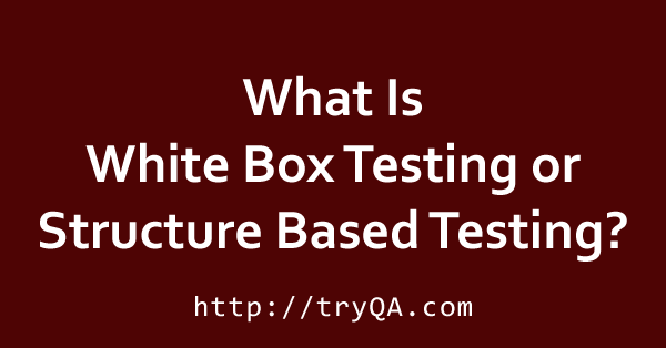 What Is White Box Testing or Structure Based Testing